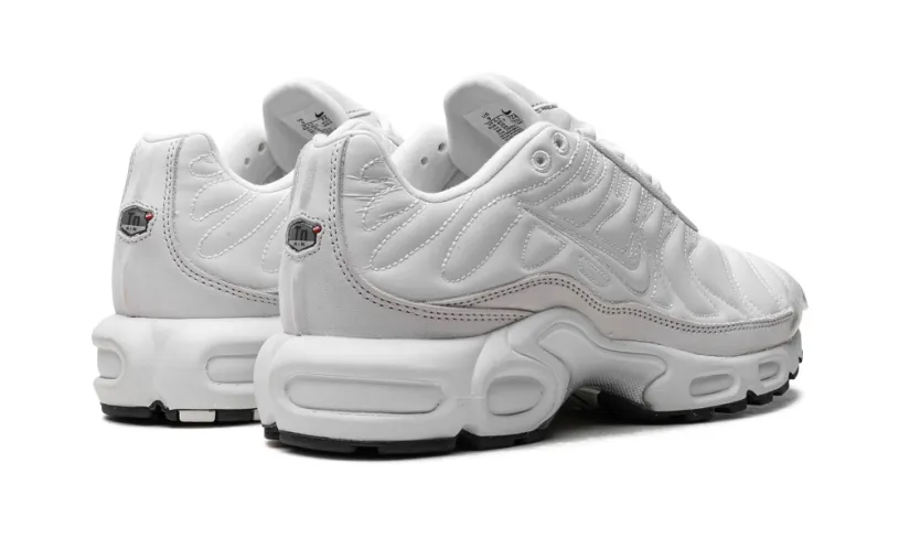 Nike Air Max Air Max Plus WMNS 'Platinum Tint'